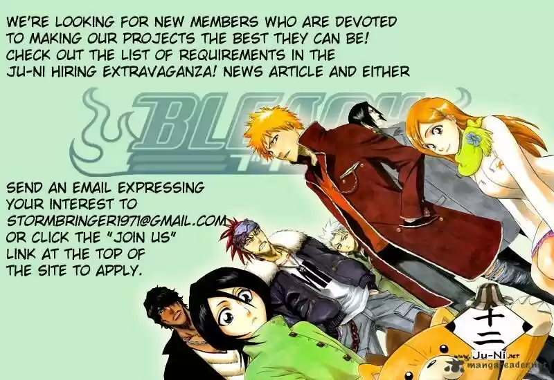 Bleach - All Colour But The Black Vol.23 Ch.295