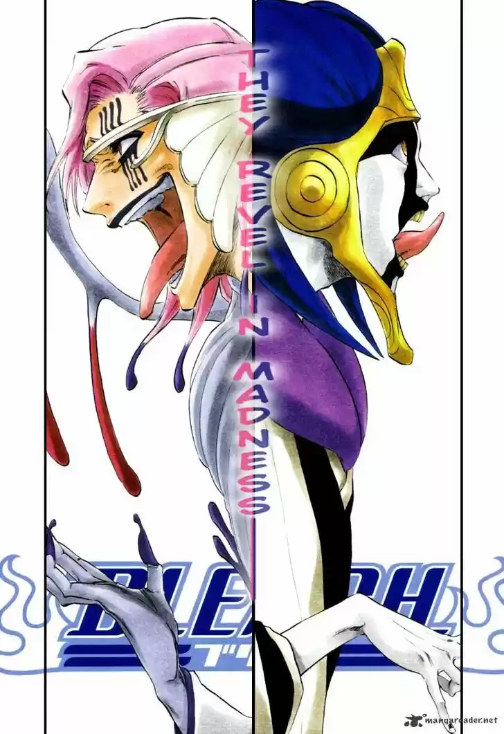 Bleach - All Colour But The Black Vol.23 Ch.304