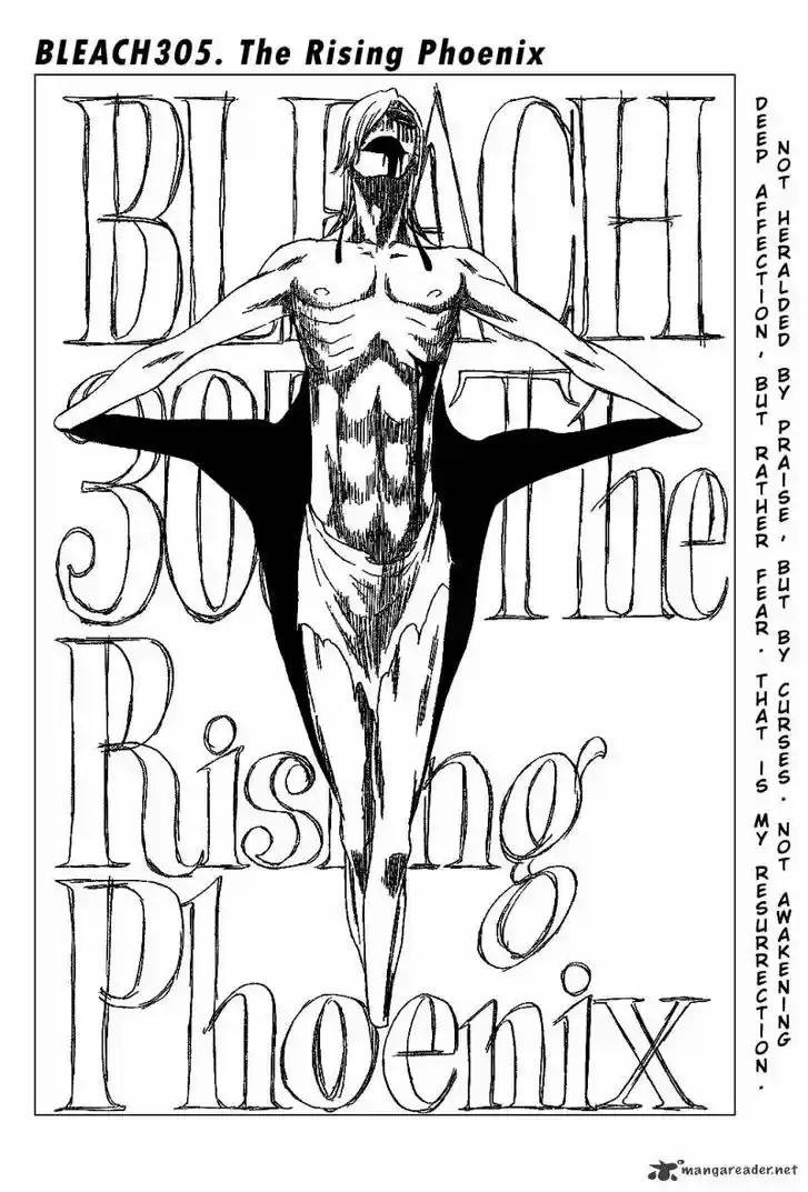 Bleach - All Colour But The Black Vol.23 Ch.305