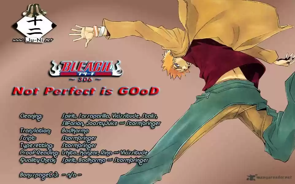 Bleach - All Colour But The Black Vol.23 Ch.306