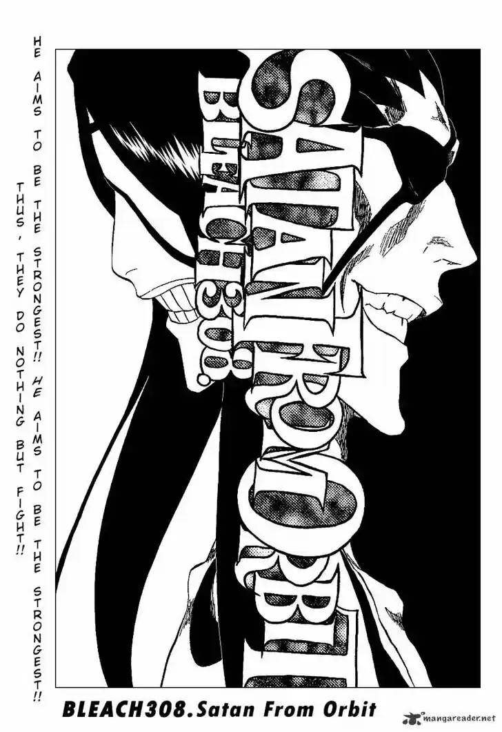 Bleach - All Colour But The Black Vol.23 Ch.308