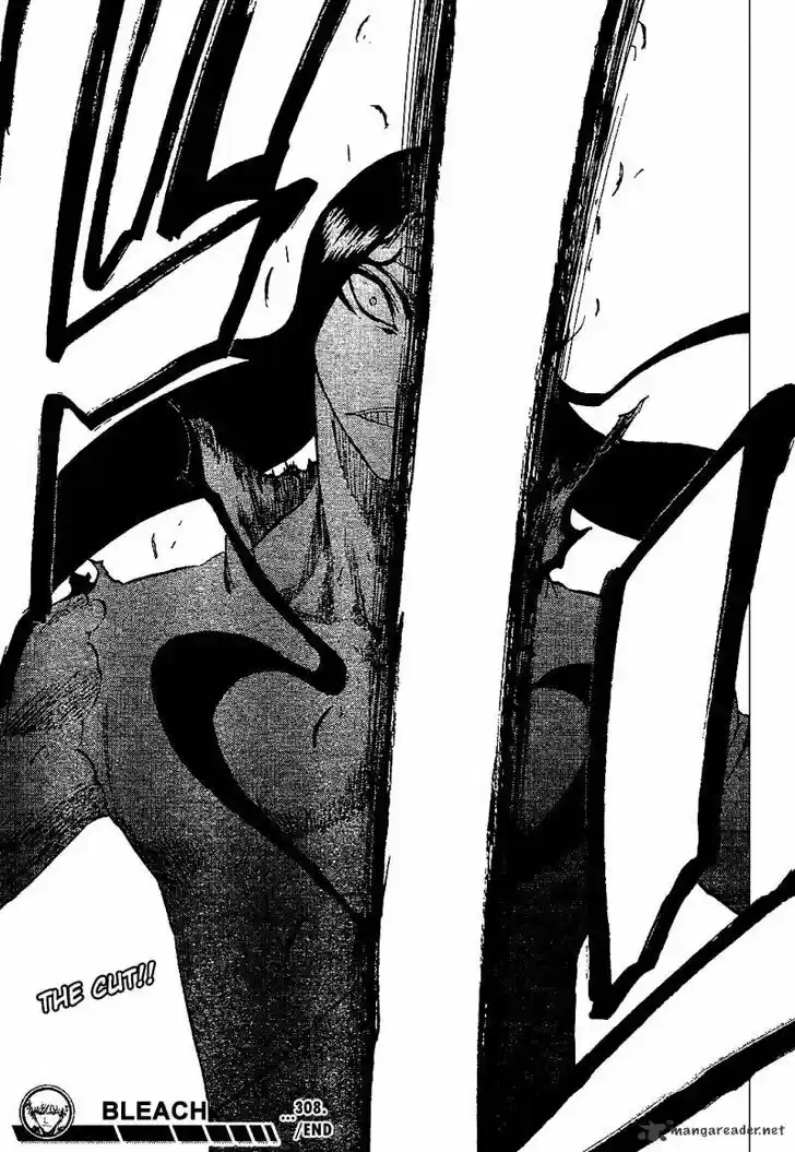 Bleach - All Colour But The Black Vol.23 Ch.308