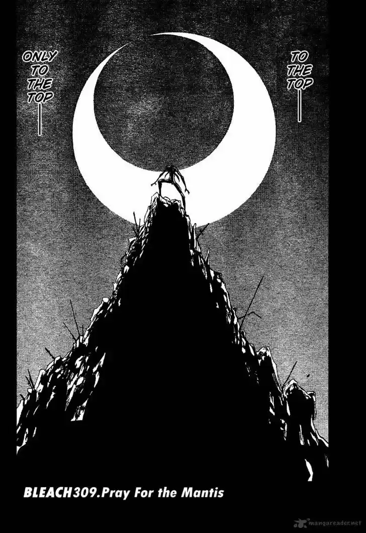 Bleach - All Colour But The Black Vol.23 Ch.309