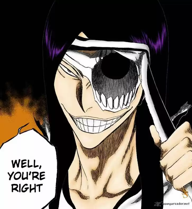 Bleach - All Colour But The Black Vol.23 Ch.309