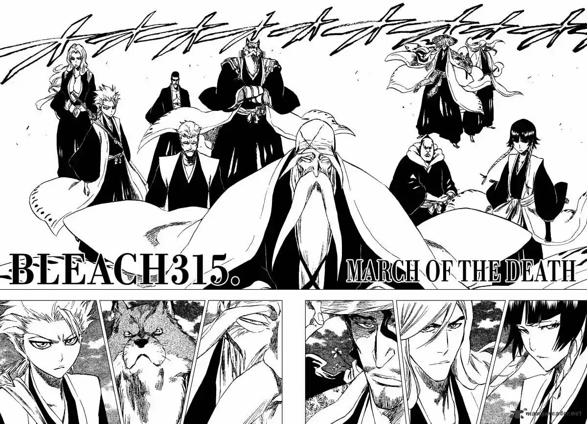 Bleach - All Colour But The Black Vol.23 Ch.315