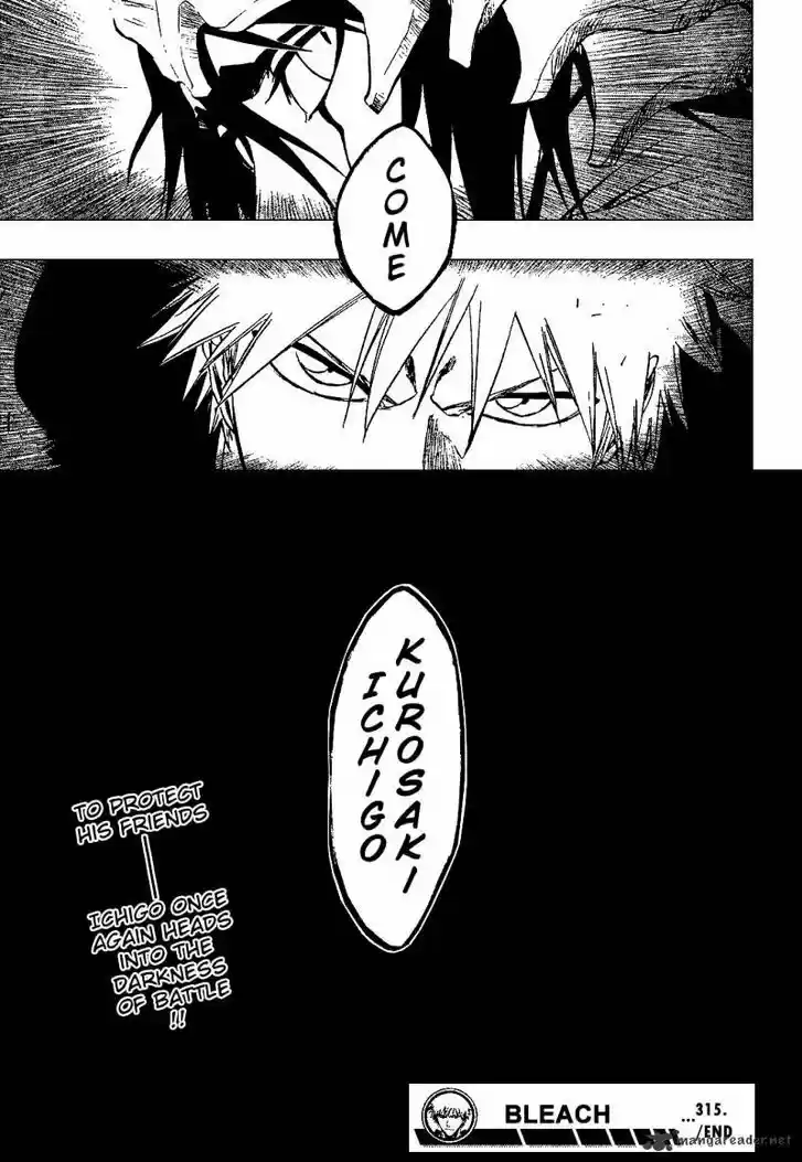 Bleach - All Colour But The Black Vol.23 Ch.315