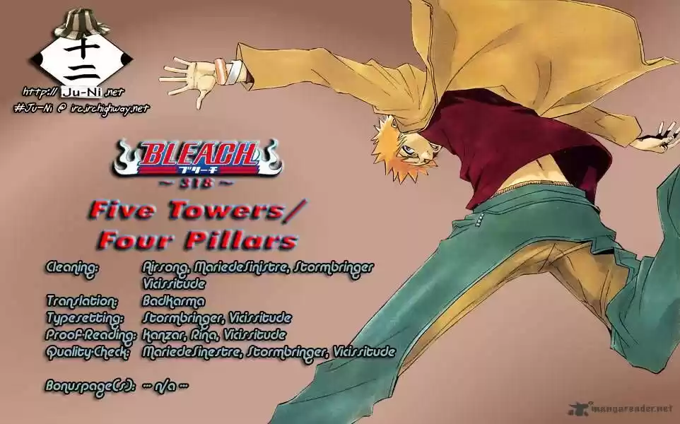 Bleach - All Colour But The Black Vol.23 Ch.318