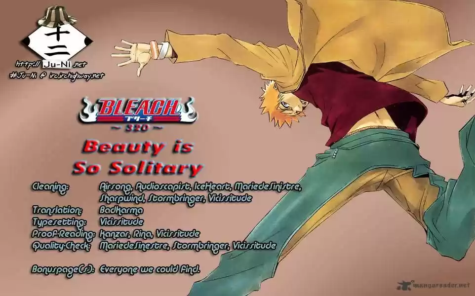 Bleach - All Colour But The Black Vol.23 Ch.320