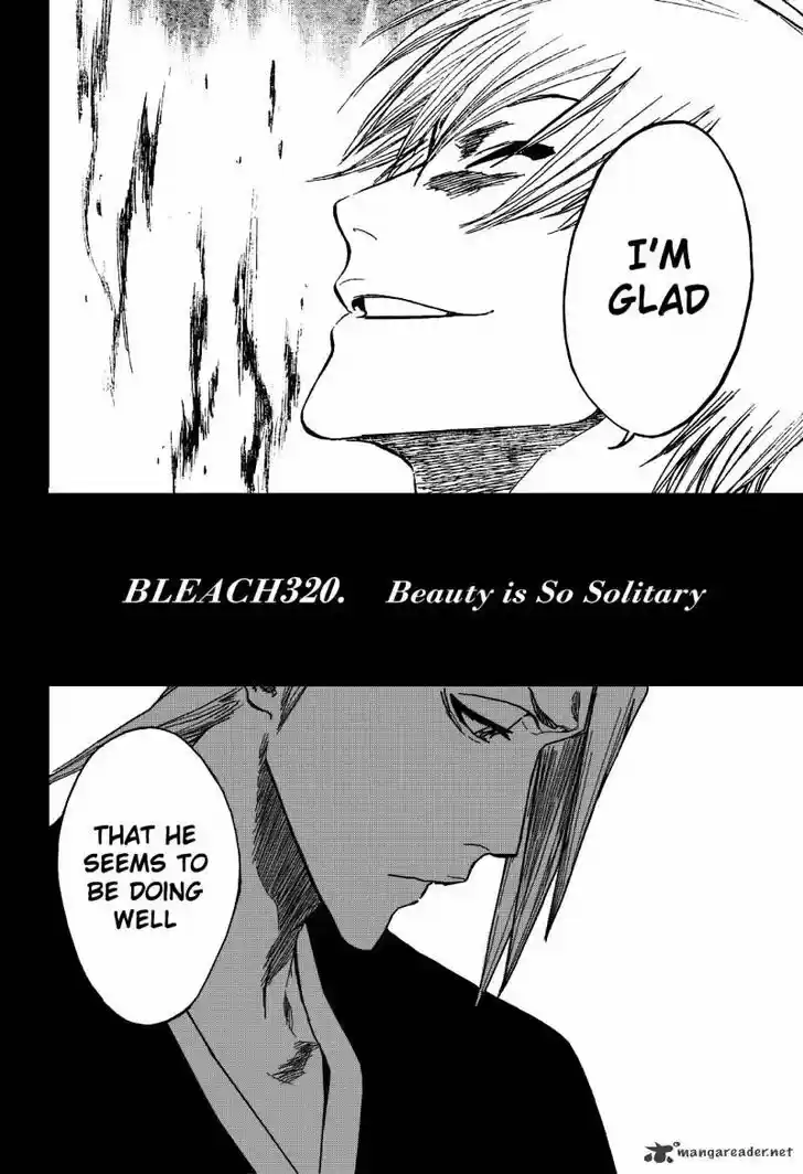 Bleach - All Colour But The Black Vol.23 Ch.320