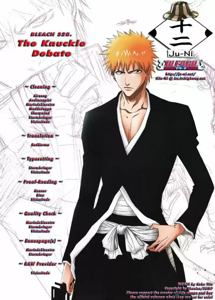 Bleach - All Colour But The Black Vol.37 Ch.328