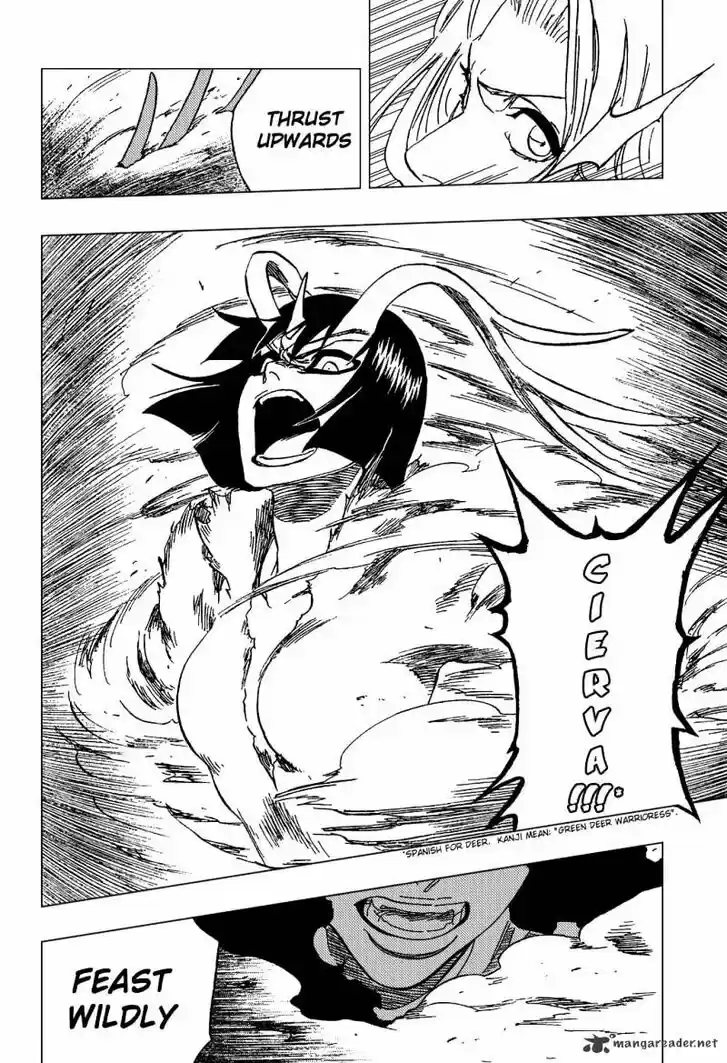 Bleach - All Colour But The Black Vol.37 Ch.335