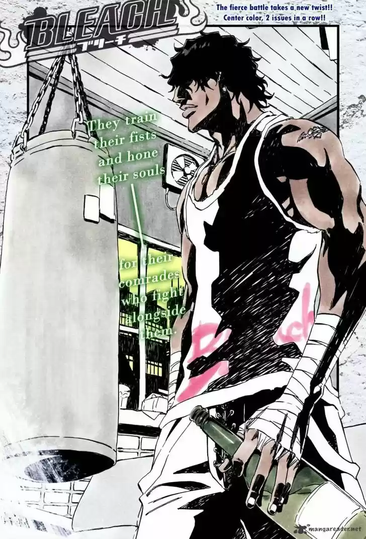 Bleach - All Colour But The Black Vol.37 Ch.363