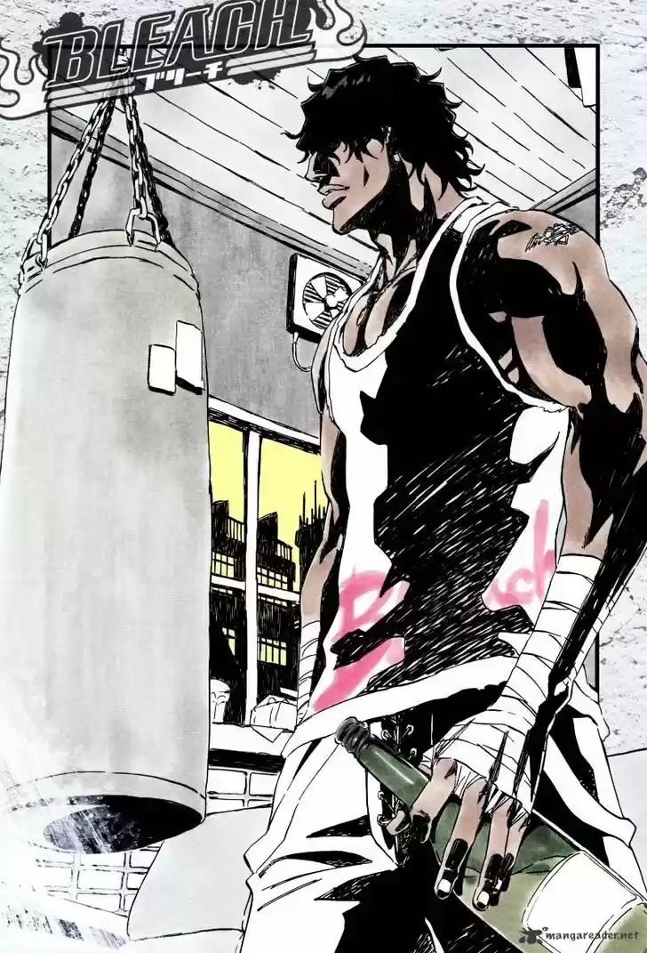 Bleach - All Colour But The Black Vol.37 Ch.363