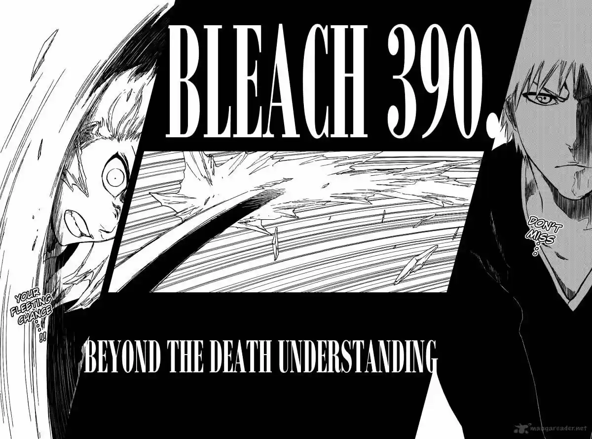 Bleach - All Colour But The Black Vol.37 Ch.390