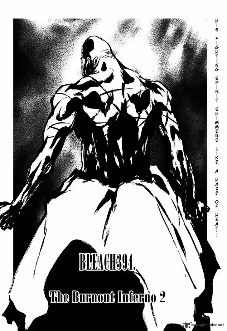 Bleach - All Colour But The Black Vol.37 Ch.394
