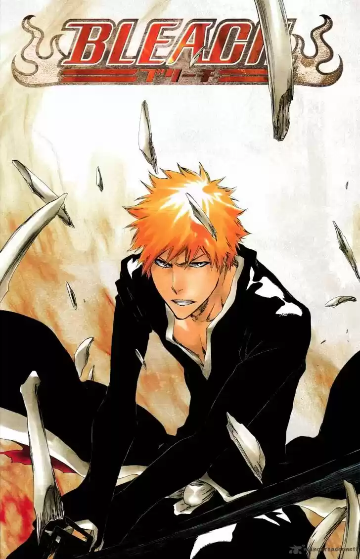 Bleach - All Colour But The Black Vol.37 Ch.428
