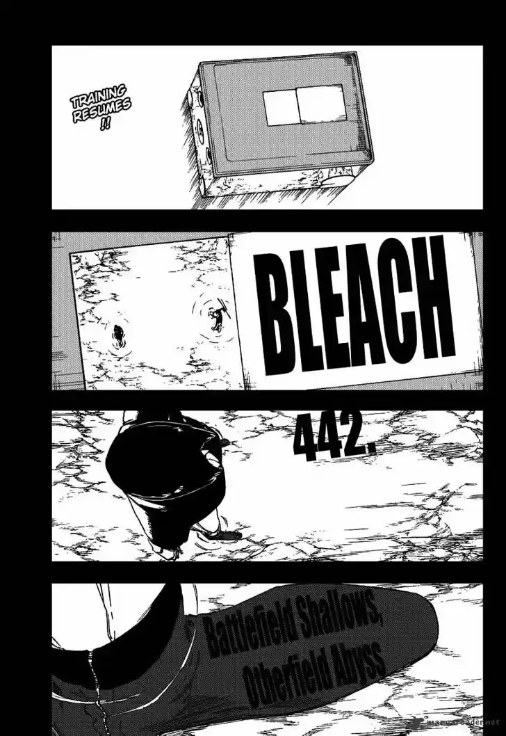 Bleach - All Colour But The Black Vol.37 Ch.442