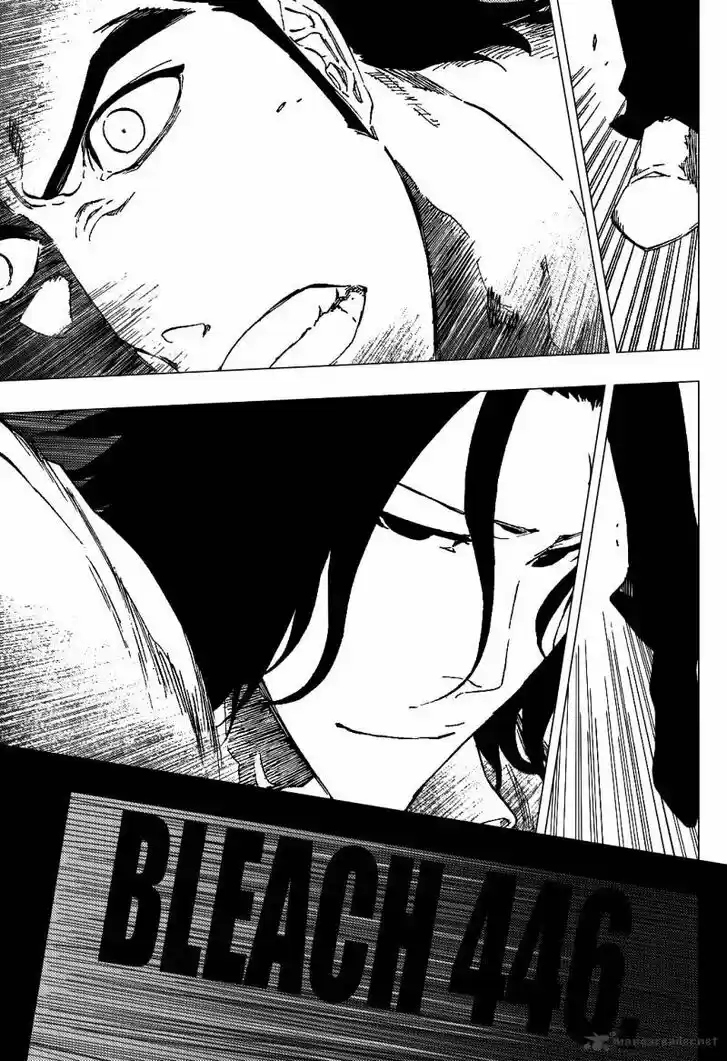 Bleach - All Colour But The Black Vol.37 Ch.446