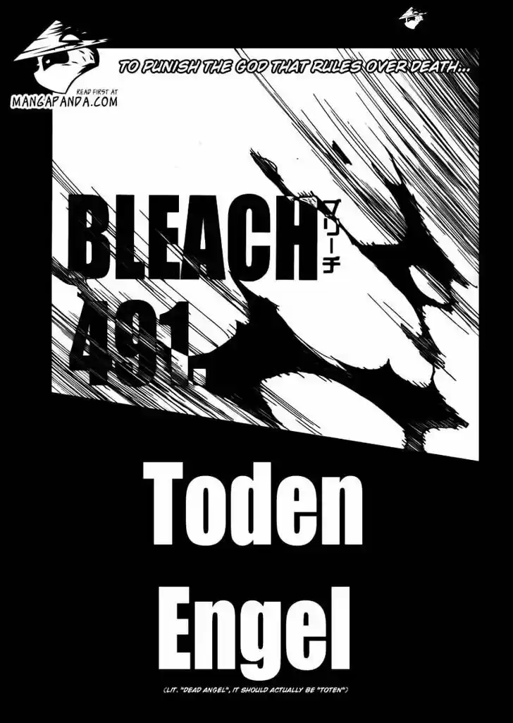 Bleach - All Colour But The Black Vol.37 Ch.491