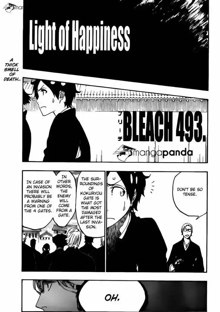 Bleach - All Colour But The Black Vol.37 Ch.493
