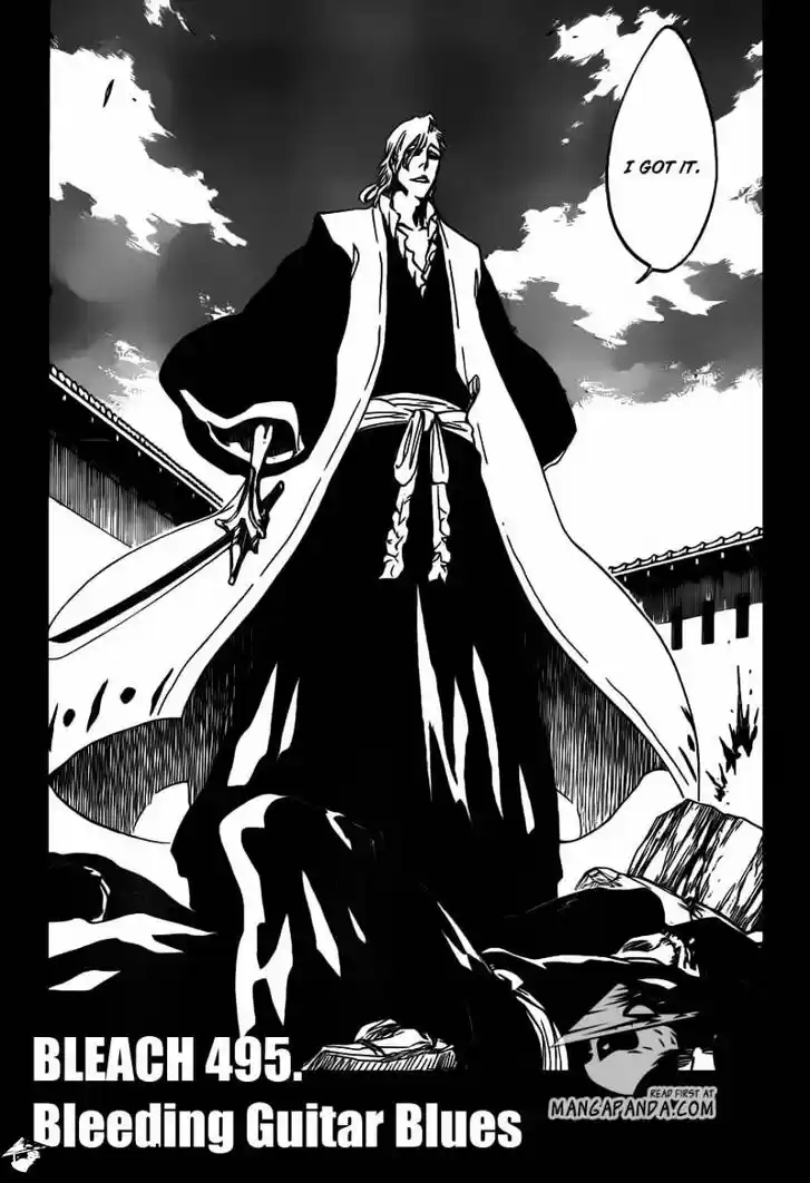Bleach - All Colour But The Black Vol.37 Ch.495