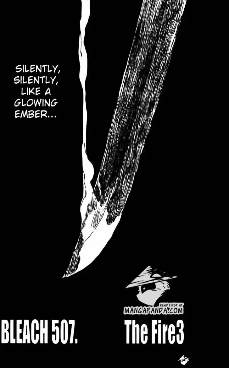 Bleach - All Colour But The Black Vol.37 Ch.507