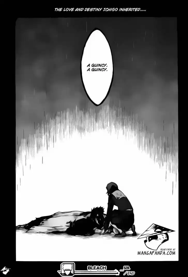 Bleach - All Colour But The Black Vol.37 Ch.528
