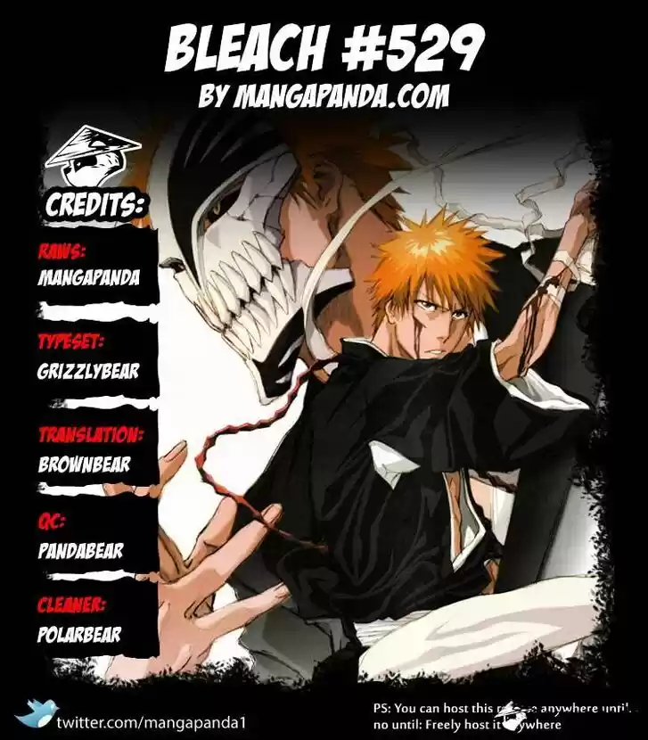 Bleach - All Colour But The Black Vol.37 Ch.529