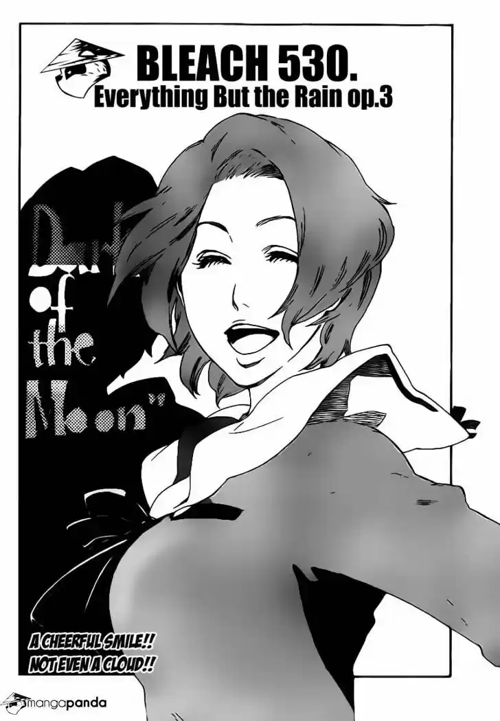 Bleach - All Colour But The Black Vol.37 Ch.530