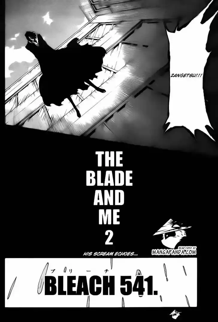 Bleach - All Colour But The Black Vol.37 Ch.541