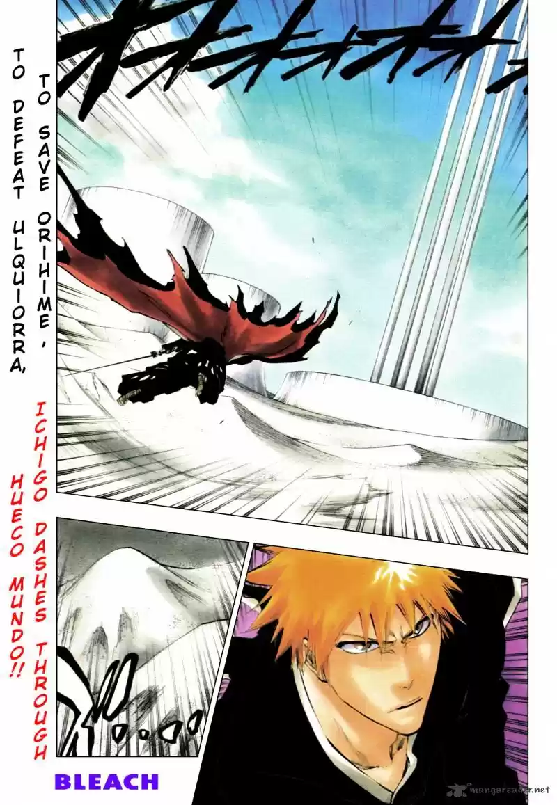 Bleach Chapter 317