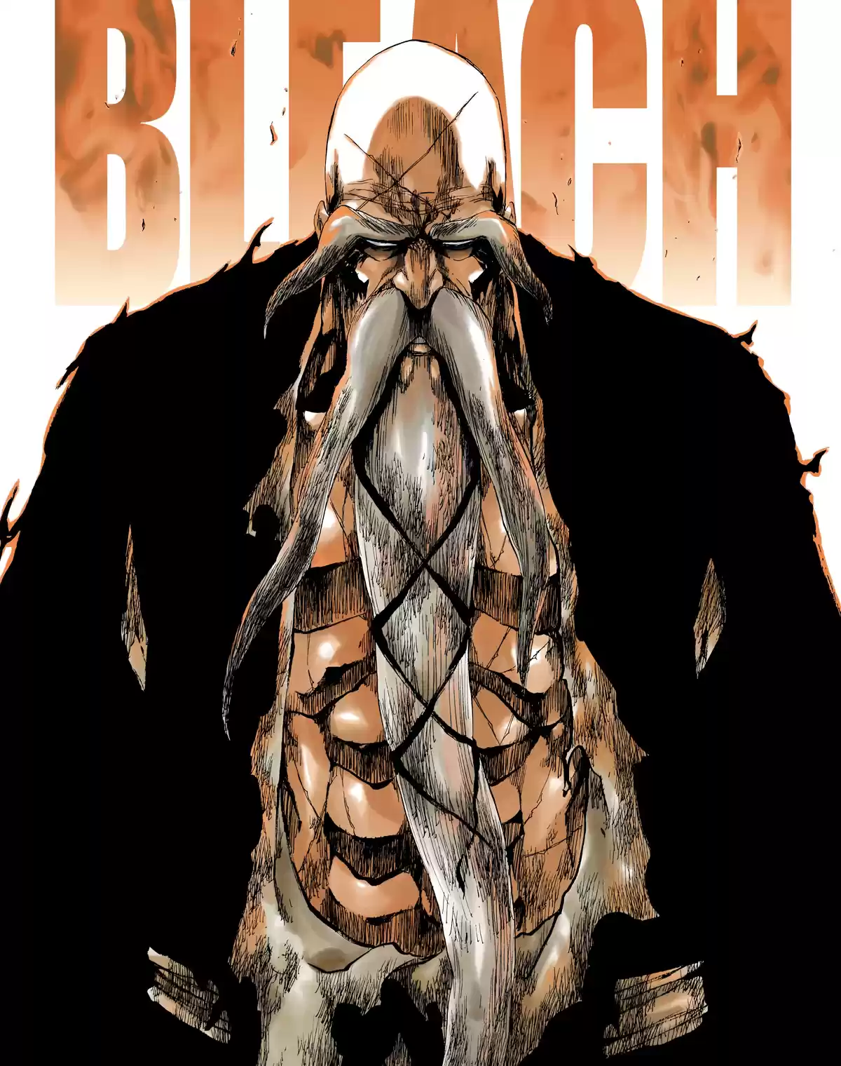Bleach Digital Colored Comics Vol. 57 Ch. 505 The Fire