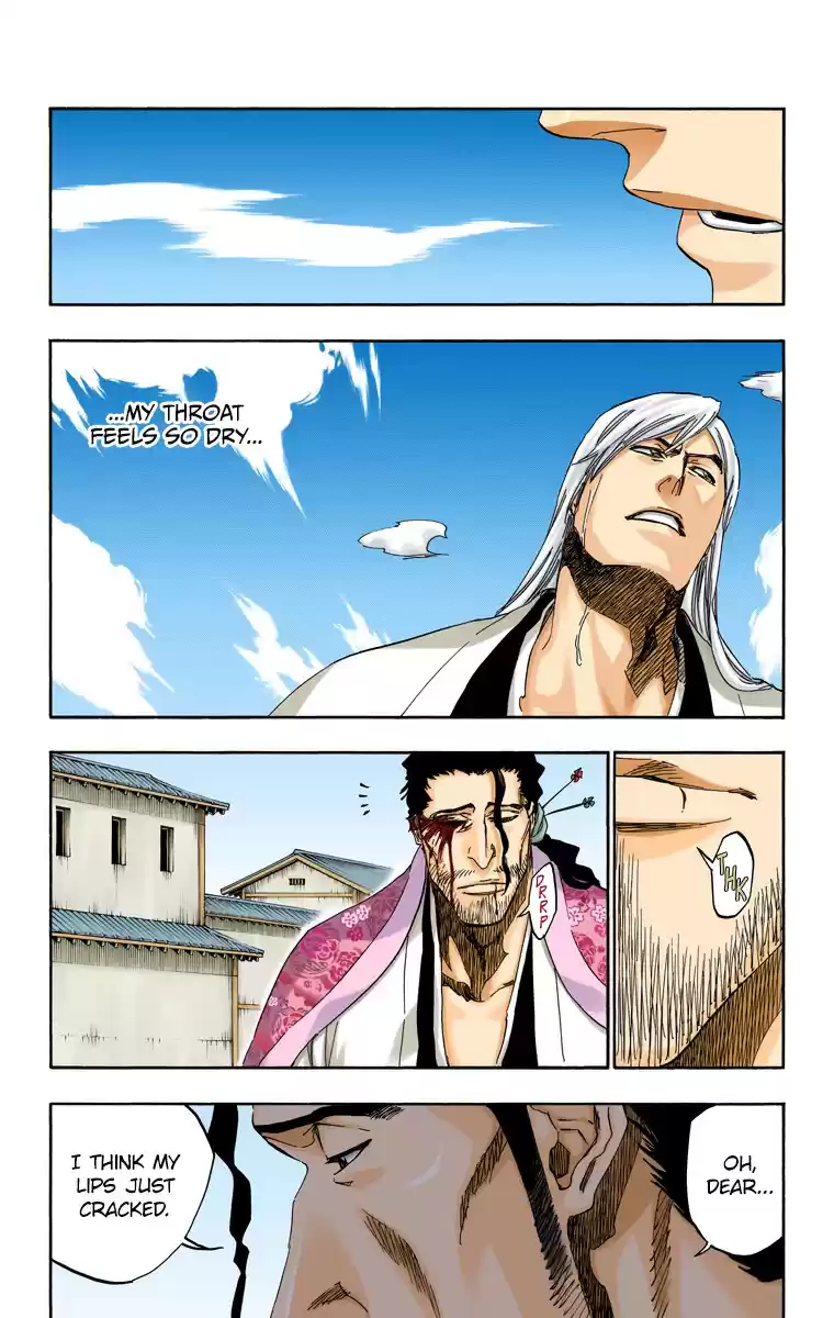 Bleach Digital Colored Comics Vol. 57 Ch. 507 The Fire 3