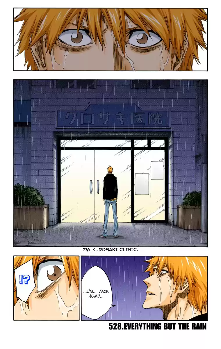 Bleach Digital Colored Comics Vol. 59 Ch. 528 Everything But the Rain