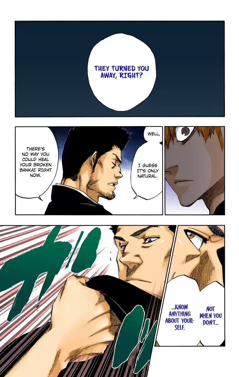 Bleach Digital Colored Comics Vol. 59 Ch. 528 Everything But the Rain