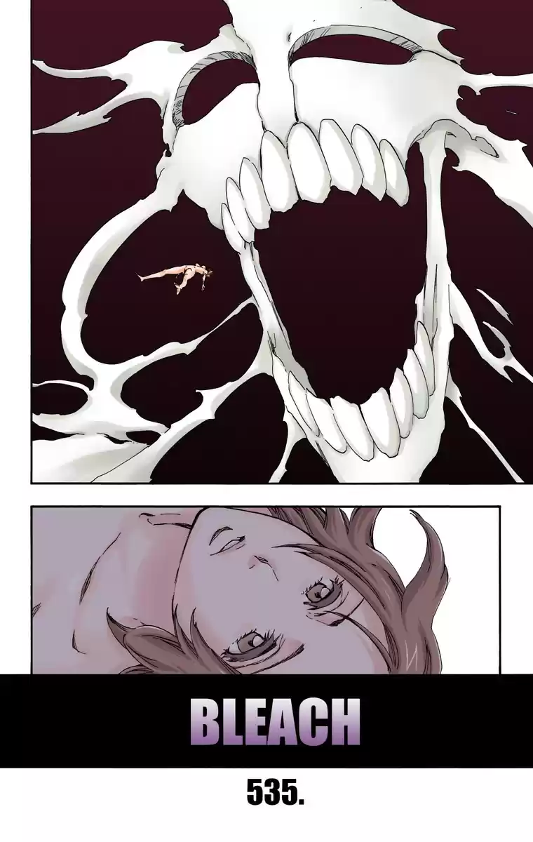 Bleach Digital Colored Comics Vol. 60 Ch. 535 Everything But the Rain Op.8 "Defenders"