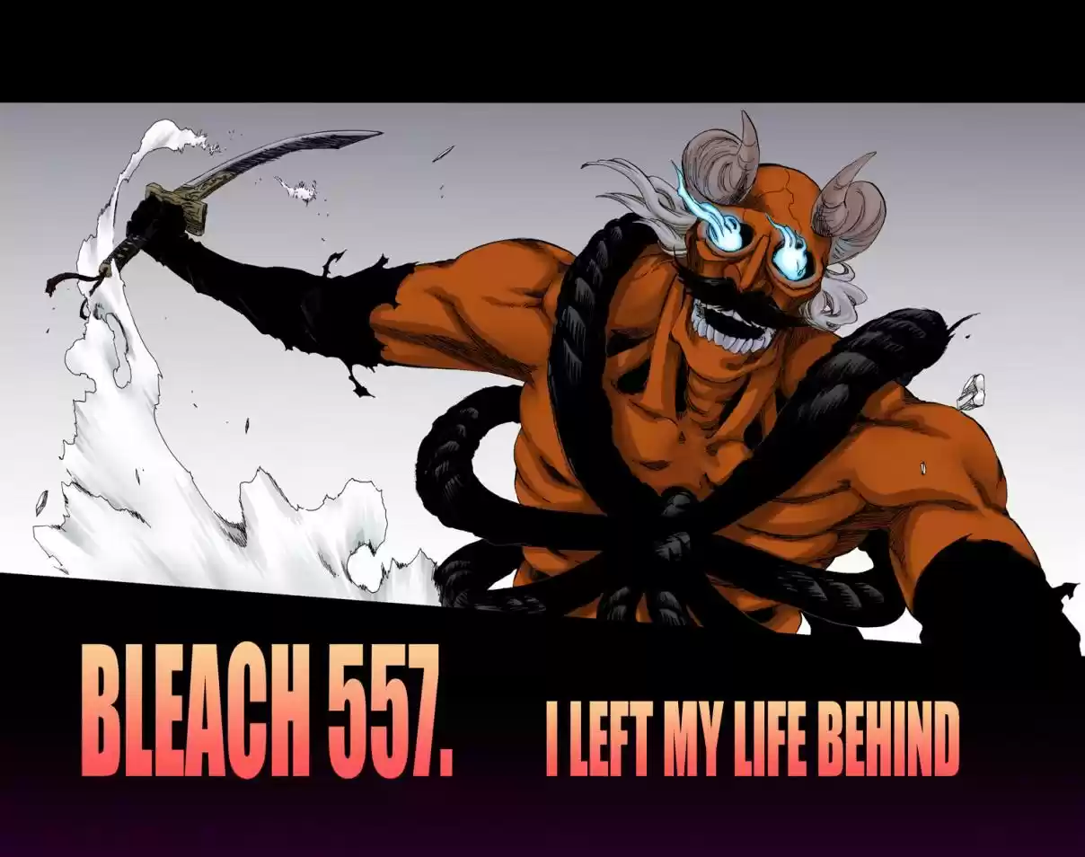 Bleach Digital Colored Comics Vol. 62 Ch. 557 I Left My Life Behind