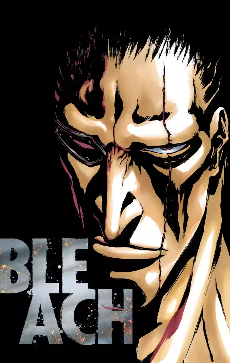 Bleach Digital Colored Comics Vol. 64 Ch. 573 I Am The Edge