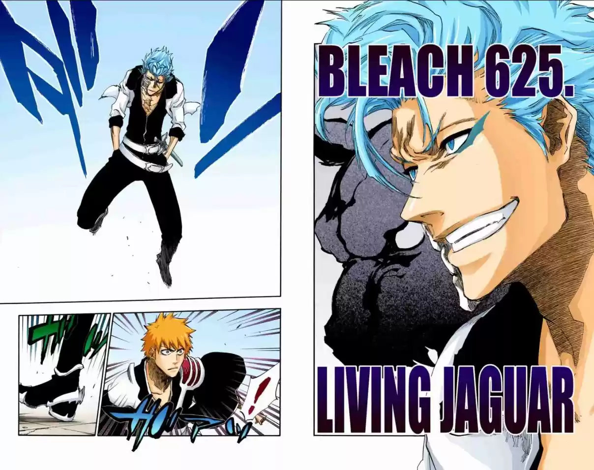 Bleach Digital Colored Comics Vol. 69 Ch. 625 LIVING JAGUAR