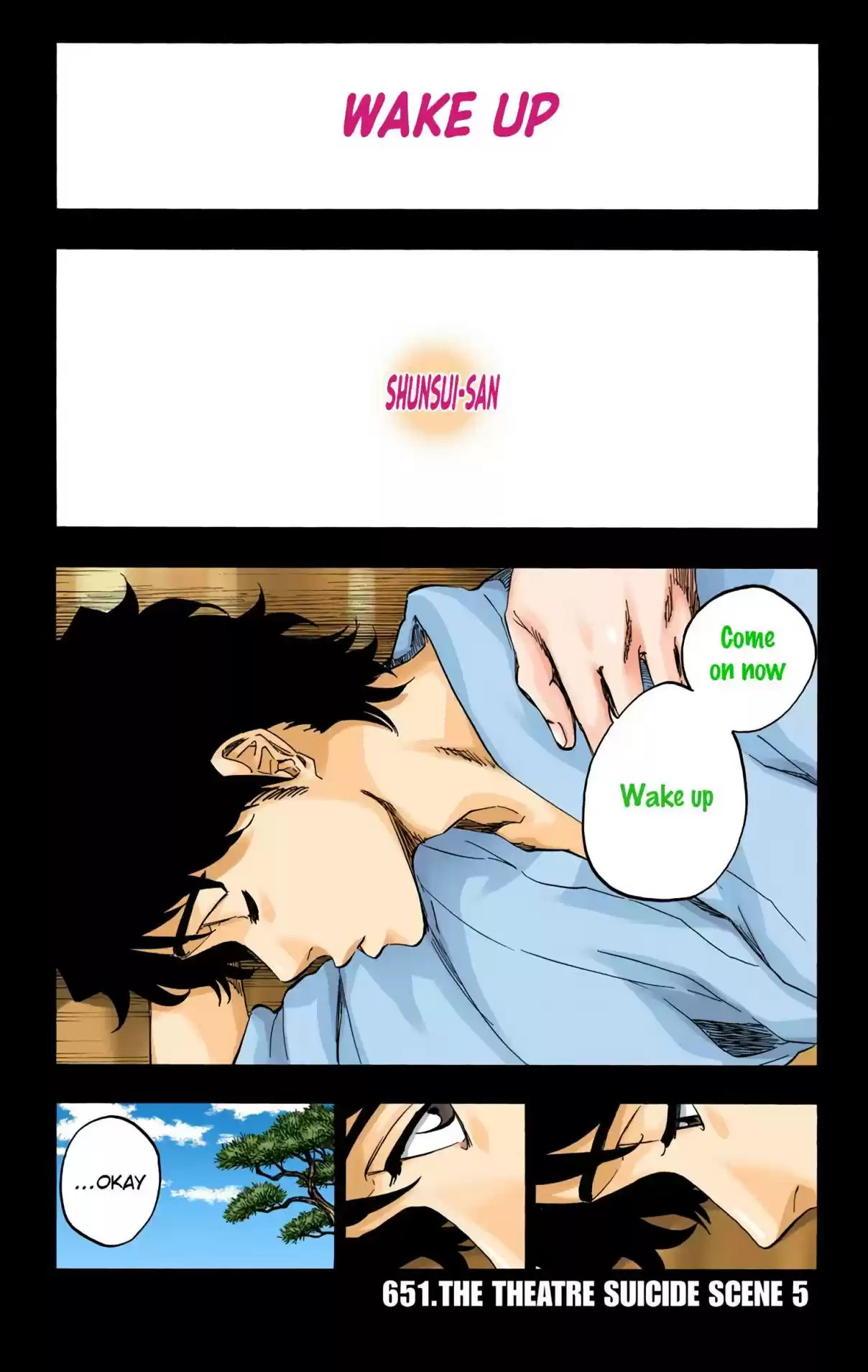 Bleach Digital Colored Comics Vol. 71 Ch. 651 THE THEATRE SUICIDE SCENE 5