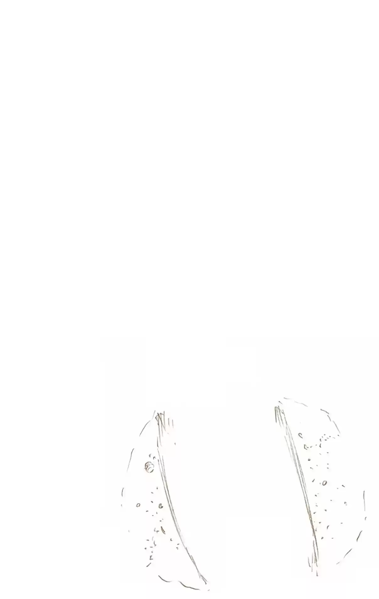 Bleach Digital Colored Comics Vol. 74 Ch. 677 Horn of Salvation 2