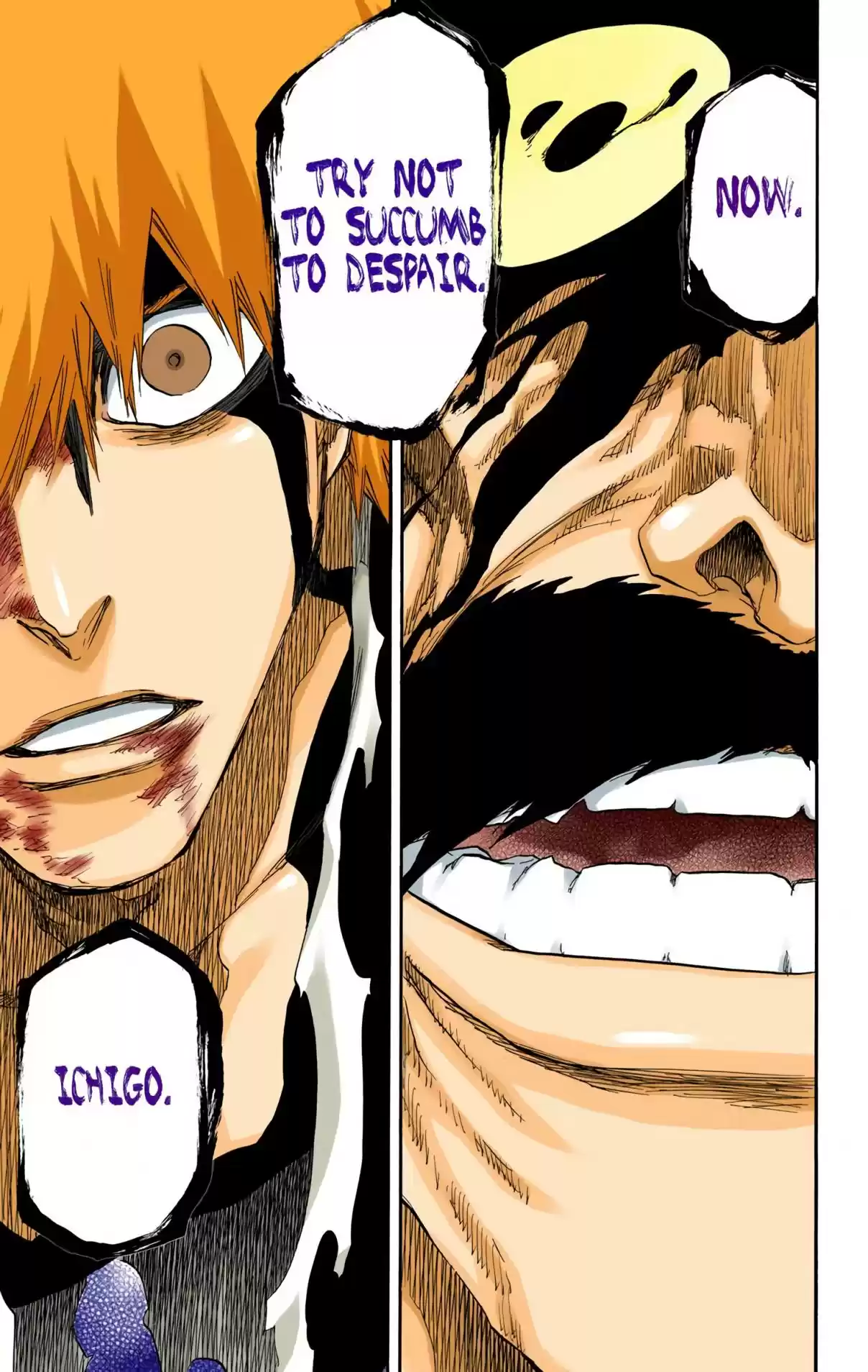 Bleach Digital Colored Comics Vol. 74 Ch. 678 The Future Black