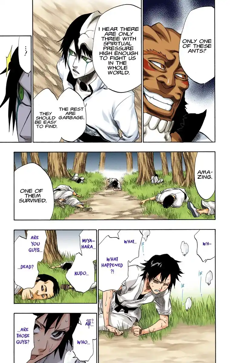 Bleach - Digital Colored Comics Vol.22 Ch.191