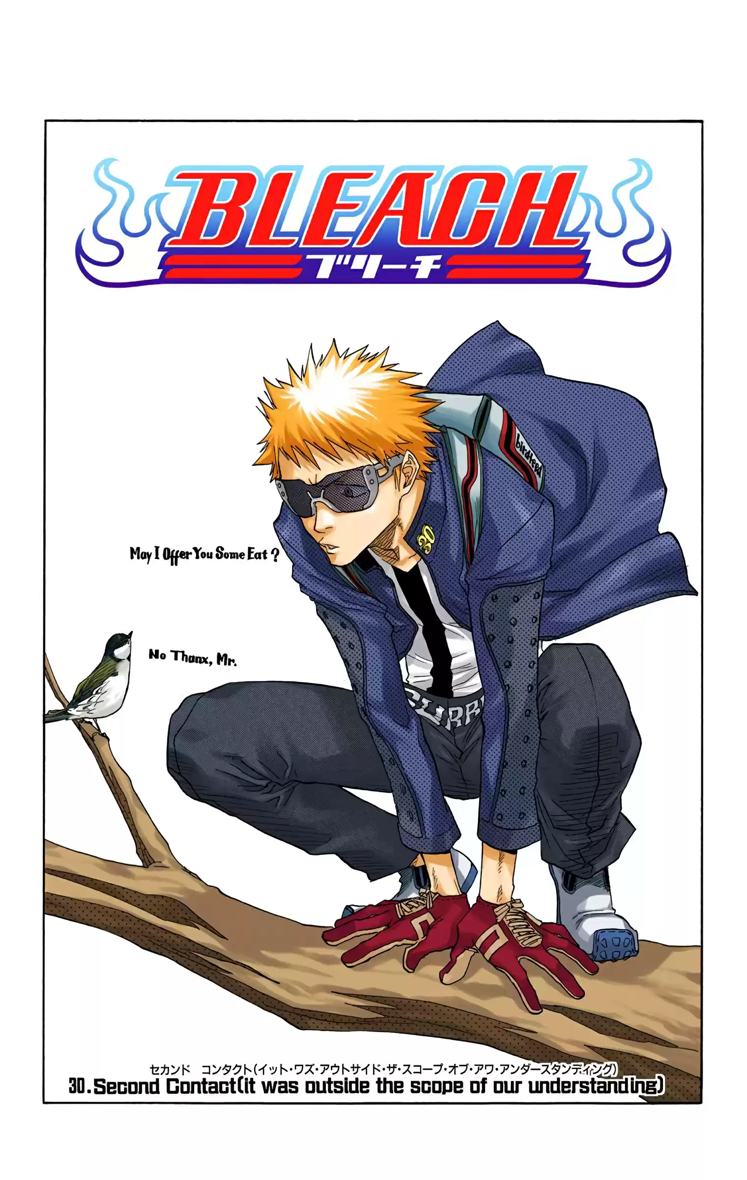 Bleach - Digital Colored Comics Vol.4 Chapter 30: Second Contact (It Was Beyond The Scope Of Our Understanding)