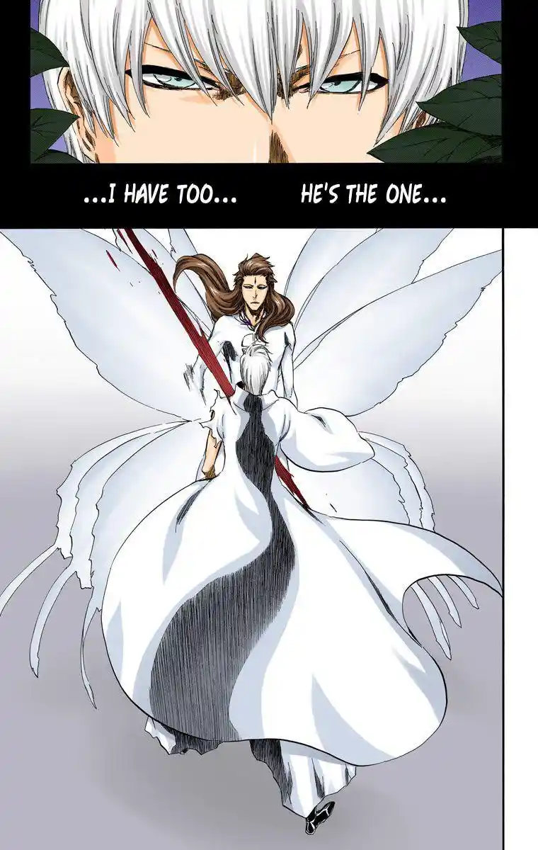 Bleach - Digital Colored Comics Vol.48 Ch.415