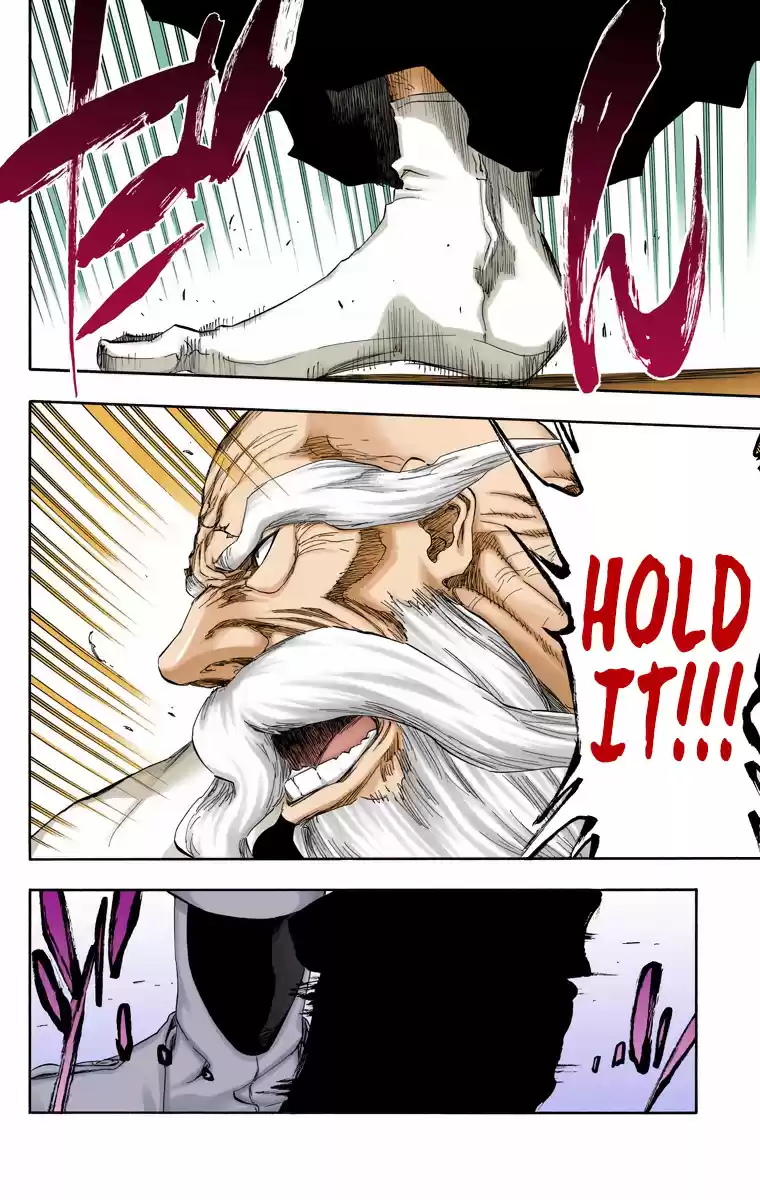 Bleach - Digital Colored Comics Vol.55 Ch.484