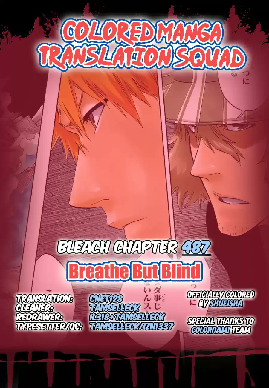 Bleach - Digital Colored Comics Vol.55 Ch.487
