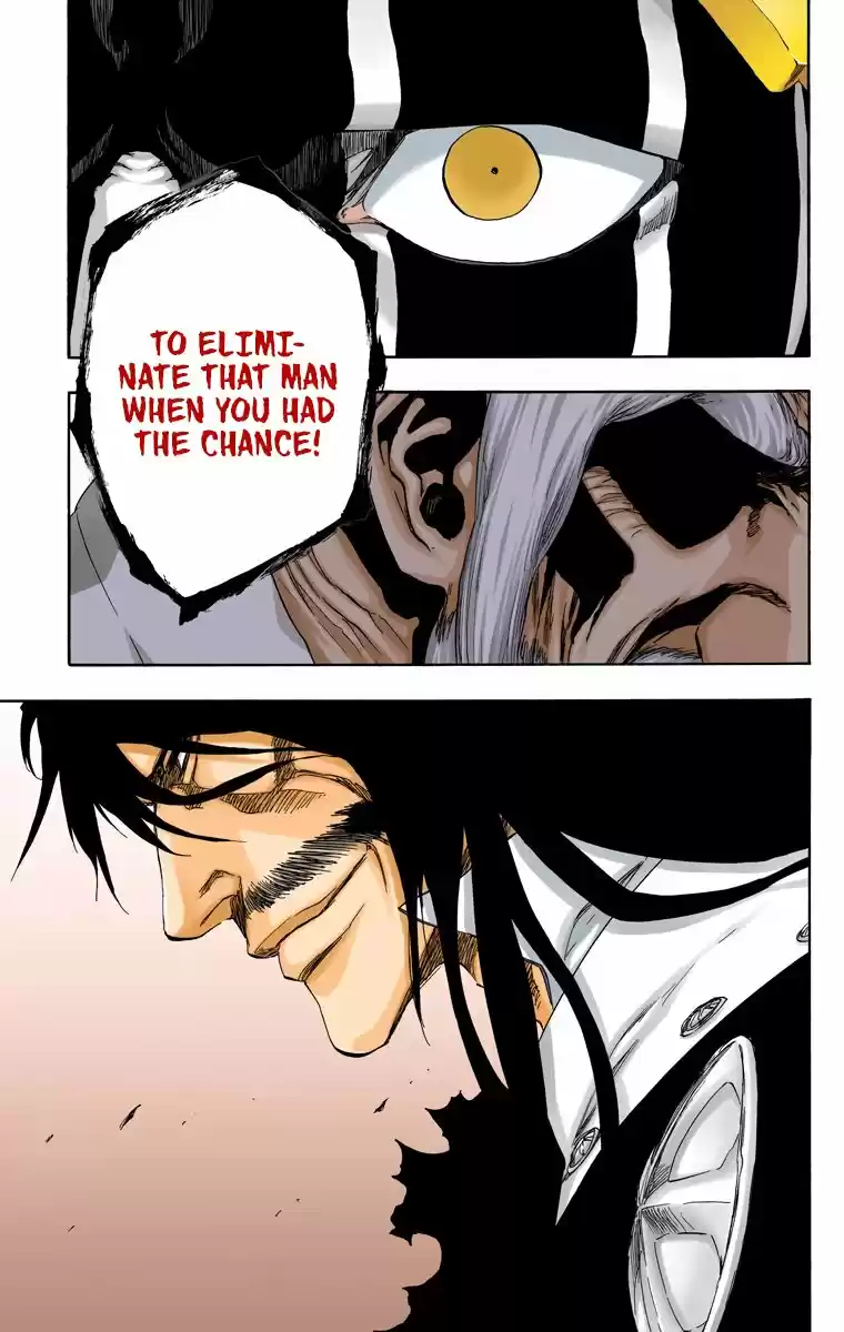 Bleach - Digital Colored Comics Vol.55 Ch.489