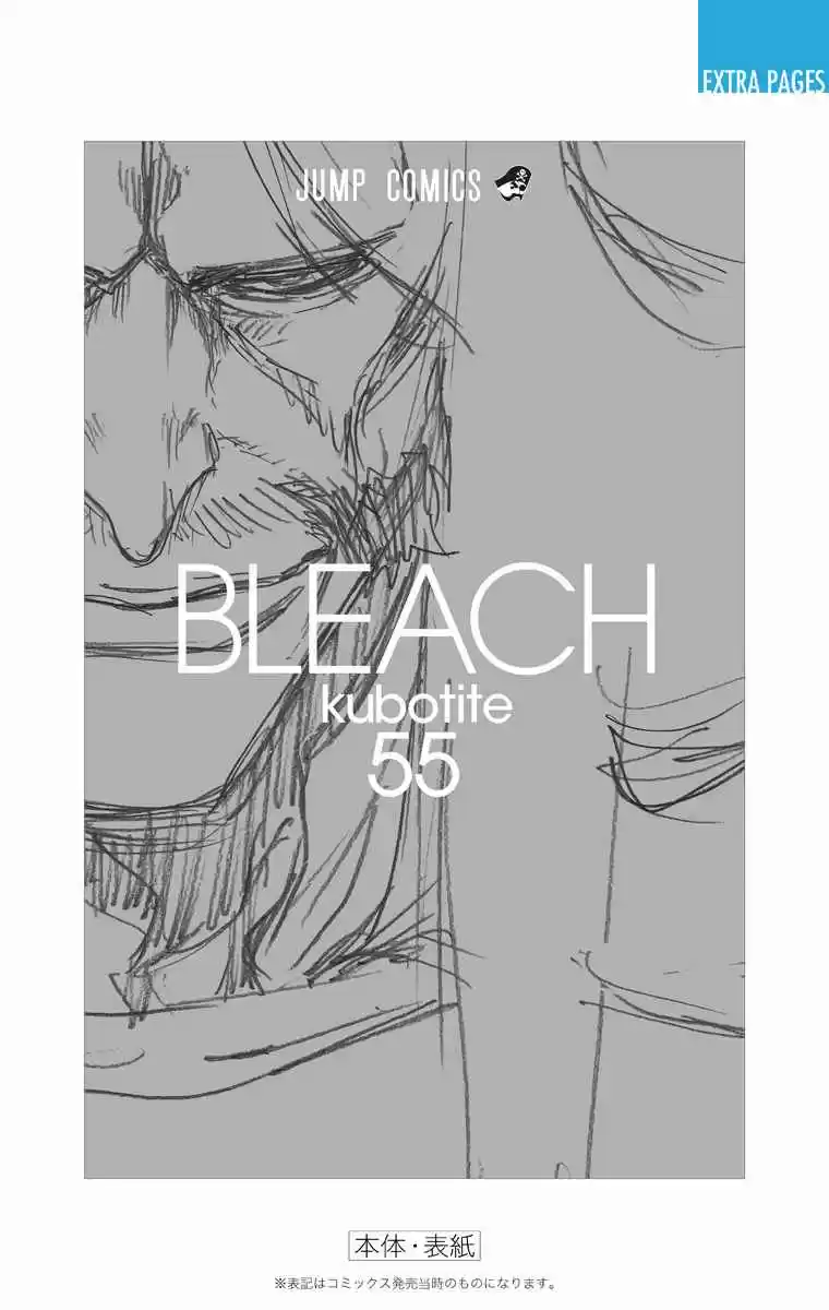Bleach - Digital Colored Comics Vol.55 Ch.489