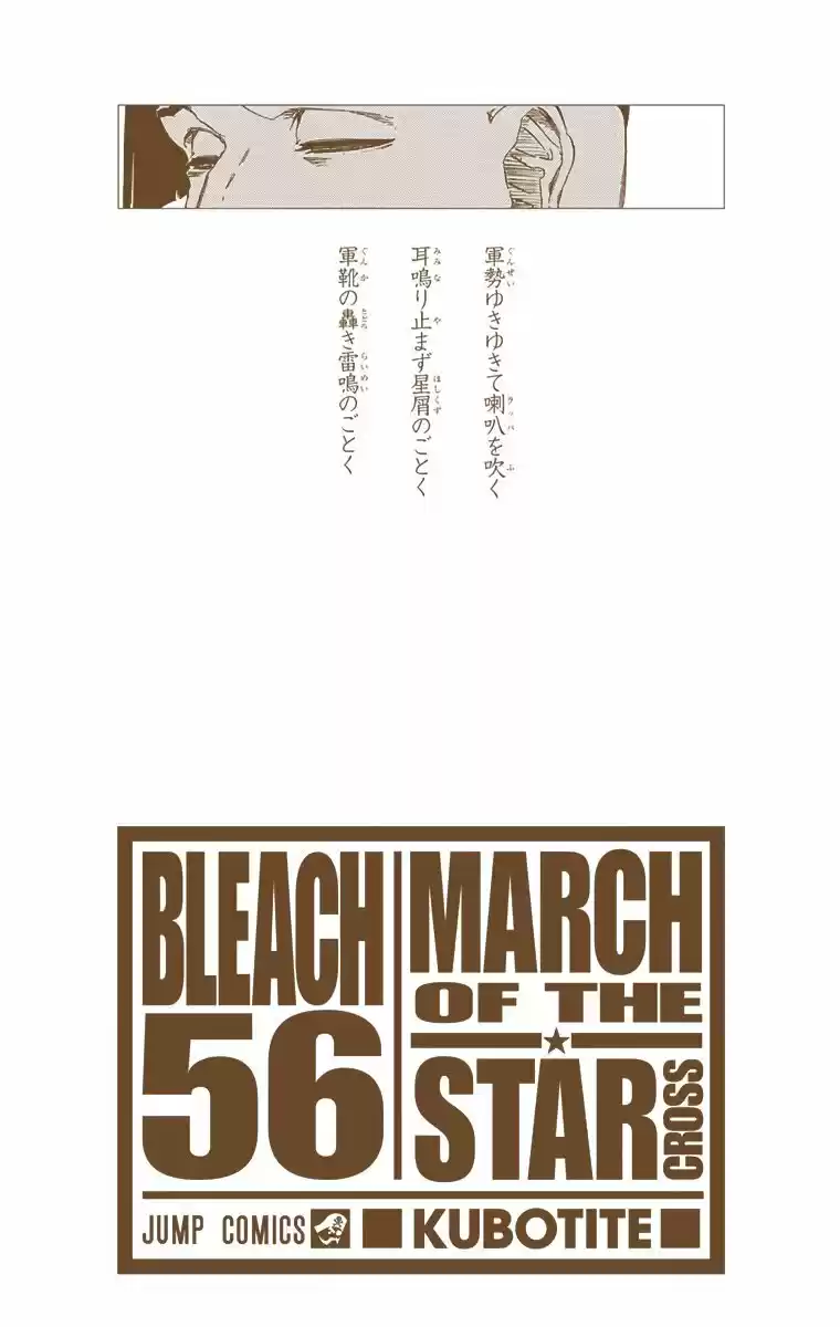 Bleach - Digital Colored Comics Vol.56 Ch.490